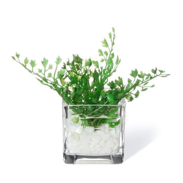 【公式】ウォーターキューブ 3個セット A 観葉植物 フェイクグリーン  | GREENPARK 人工観葉植物 造花 おしゃれ リアルの画像
