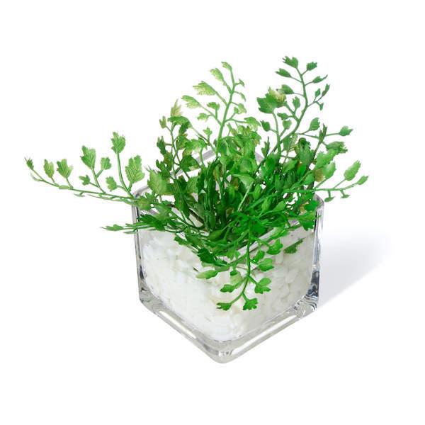 【公式】ウォーターキューブ 3個セット A 観葉植物 フェイクグリーン  | GREENPARK 人工観葉植物 造花 おしゃれ リアルの画像