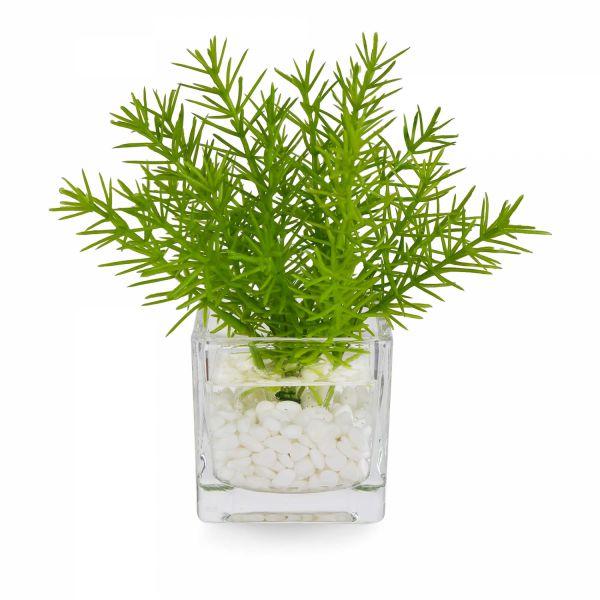【公式】ウォーターキューブ 3個セット A 観葉植物 フェイクグリーン  | GREENPARK 人工観葉植物 造花 おしゃれ リアルの画像