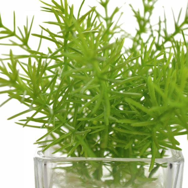 【公式】ウォーターキューブ 3個セット A 観葉植物 フェイクグリーン  | GREENPARK 人工観葉植物 造花 おしゃれ リアルの画像