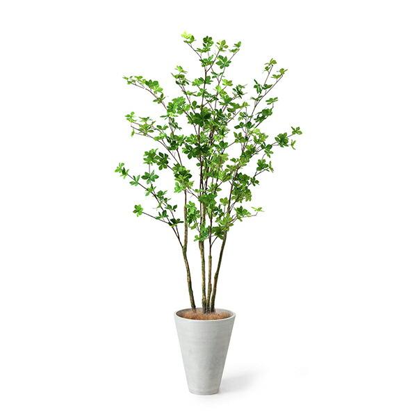 【公式】ドウダンツツジ GWプランター H165cm 観葉植物 フェイクグリーン 【別倉庫直送品】 | GREENPARK 人工観葉植物 造花 おしゃれ リアル_5