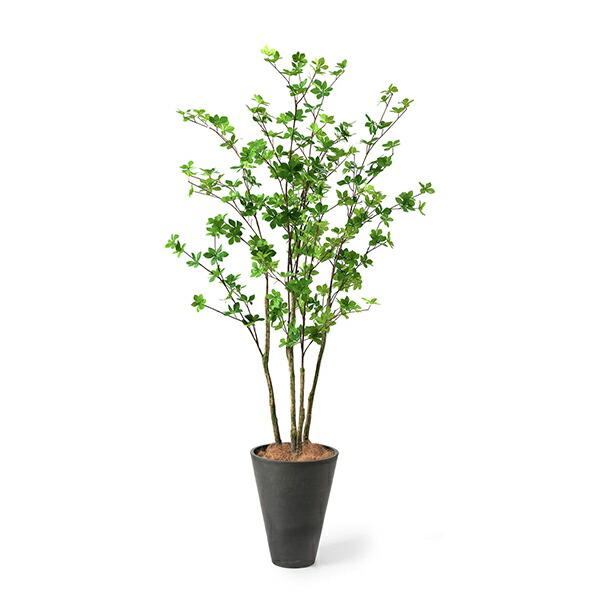 【公式】ドウダンツツジ GWプランター H165cm 観葉植物 フェイクグリーン 【別倉庫直送品】 | GREENPARK 人工観葉植物 造花 おしゃれ リアル_6