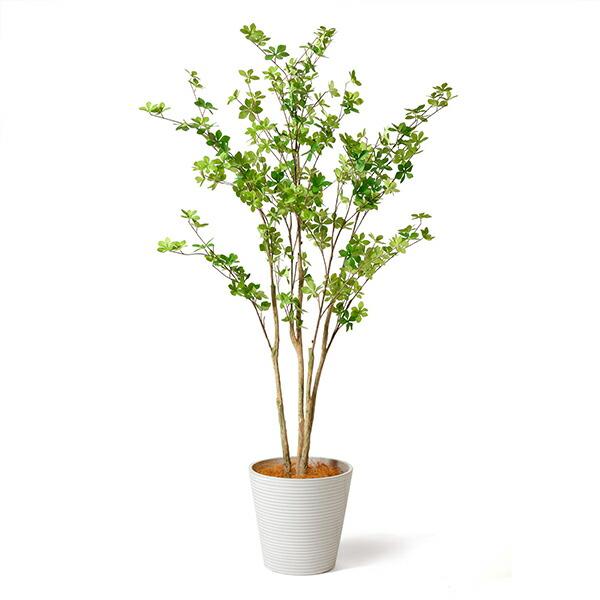 【公式】ドウダンツツジ GWプランター H165cm 観葉植物 フェイクグリーン 【別倉庫直送品】 | GREENPARK 人工観葉植物 造花 おしゃれ リアル_7