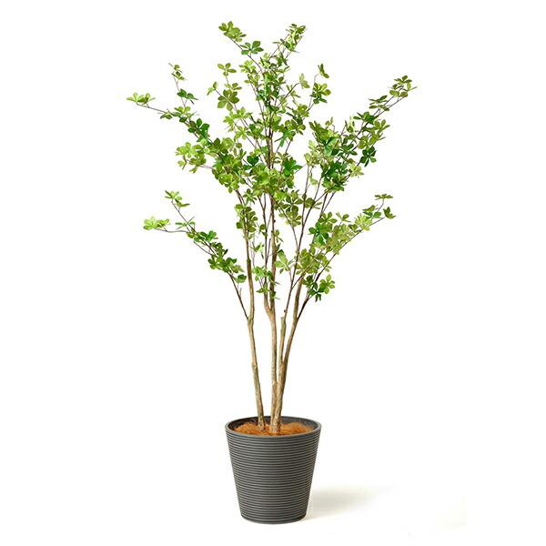 【公式】ドウダンツツジ GWプランター H165cm 観葉植物 フェイクグリーン 【別倉庫直送品】 | GREENPARK 人工観葉植物 造花 おしゃれ リアル_8