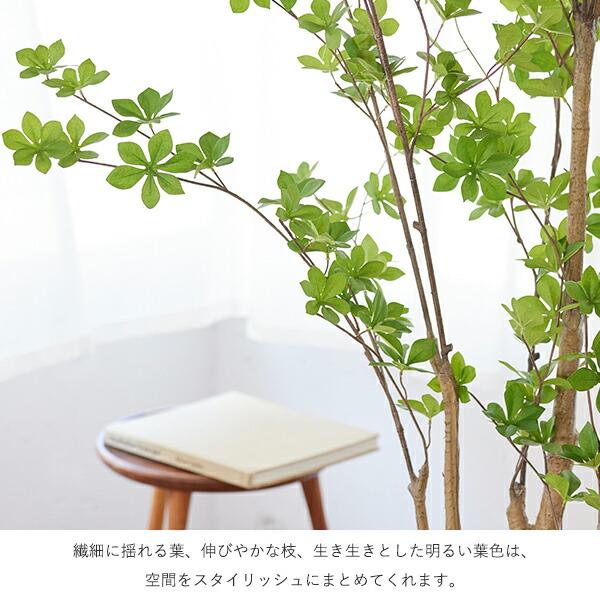 【公式】ドウダンツツジ GWプランター H165cm 観葉植物 フェイクグリーン 【別倉庫直送品】 | GREENPARK 人工観葉植物 造花 おしゃれ リアル_9