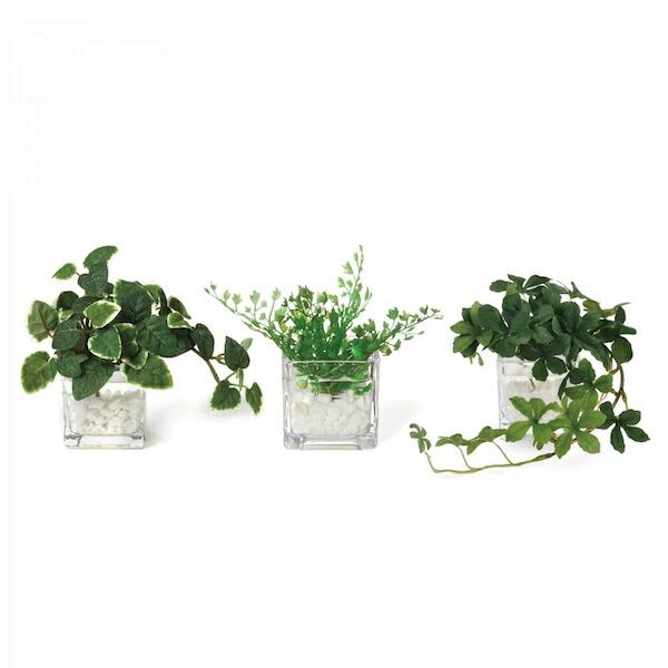 【公式】ウォーターキューブ 3個セット C 観葉植物 フェイクグリーン| GREENPARK 人工観葉植物 造花 おしゃれ リアルの画像
