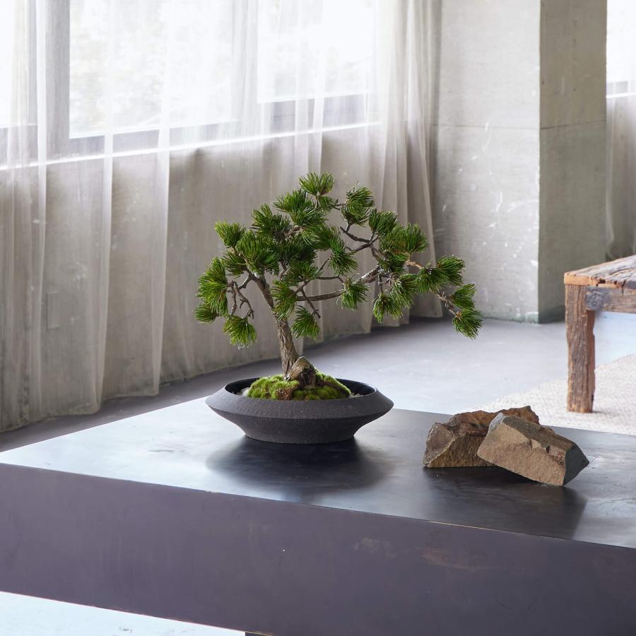 【公式】松 盆栽 平皿 大 CUPBON 盆栽 フェイクグリーン | PRIMA 観葉植物 リアル 日本製 ギフト カップボン_6