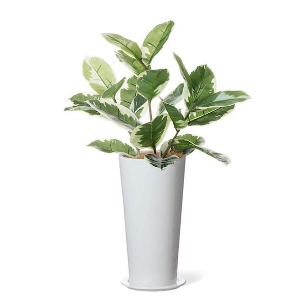 【公式】ゴムの木 スリムプランター H73cm 観葉植物 フェイクグリーン eco  | GREENPARK 人工観葉植物 造花 おしゃれ リアルの画像