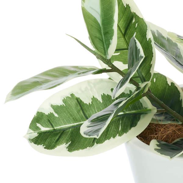 【公式】ゴムの木 スリムプランター H73cm 観葉植物 フェイクグリーン eco  | GREENPARK 人工観葉植物 造花 おしゃれ リアルの画像