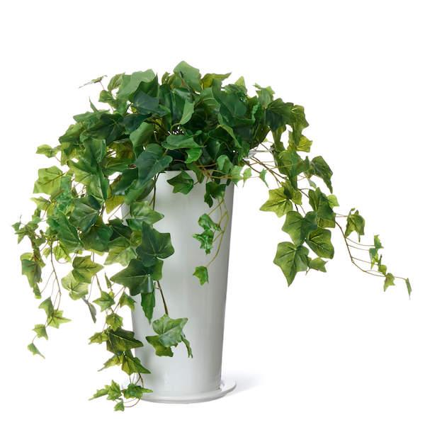 【公式】アイビー スリムプランター H58cm 観葉植物 フェイクグリーン  | GREENPARK 人工観葉植物 造花 おしゃれ リアルの画像