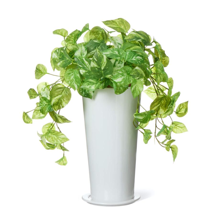 【公式】ポトス スリムプランター H53cm 観葉植物 フェイクグリーン  | GREENPARK 人工観葉植物 造花 おしゃれ リアルの画像