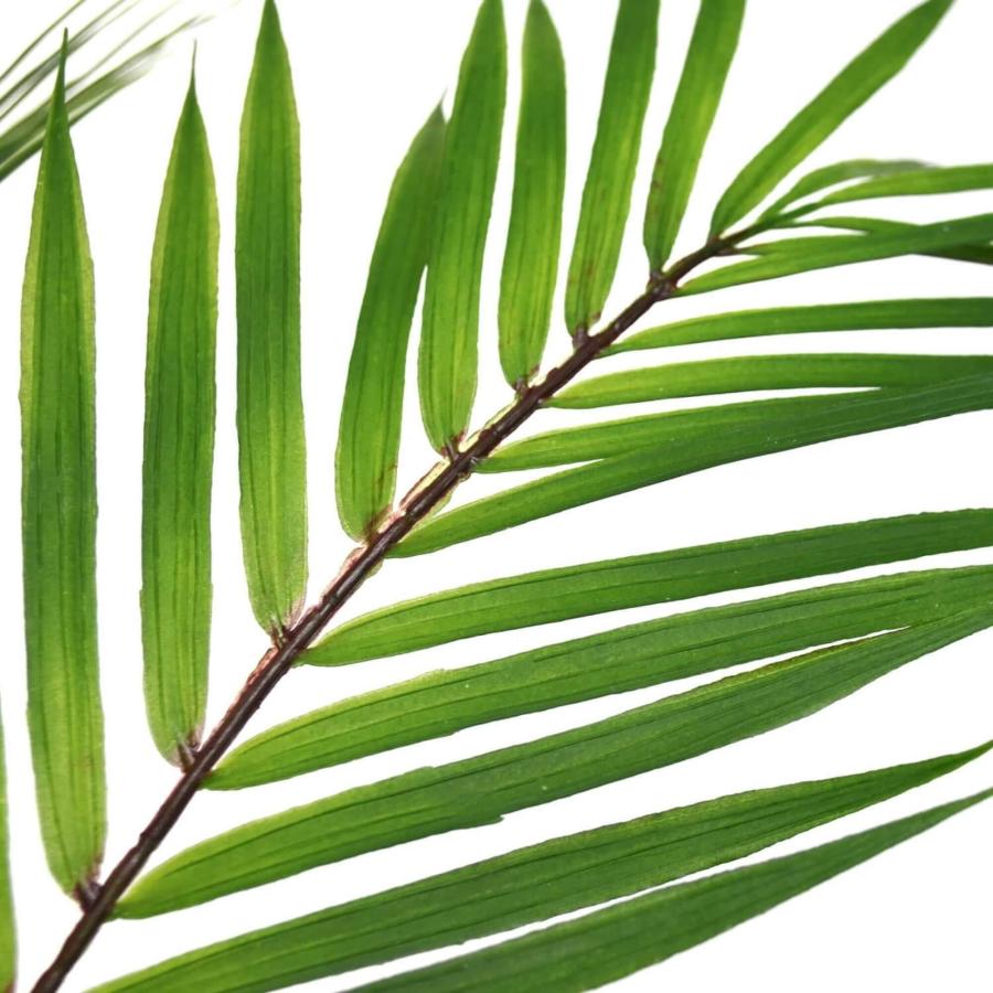 【公式】アレカヤシ スリムプランター H93cm 観葉植物 フェイクグリーン  | GREENPARK 人工観葉植物 造花 おしゃれ リアルの画像