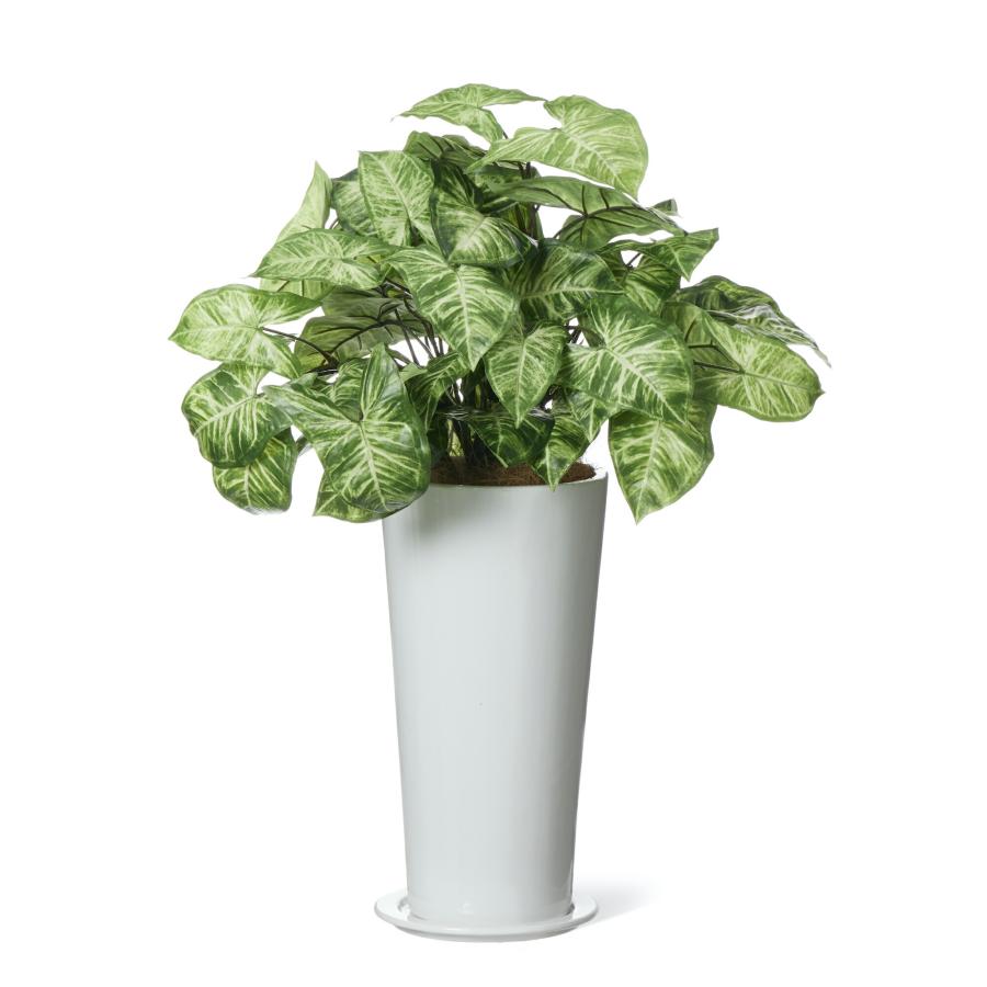 【公式】カラジウム スリムプランター H61cm 観葉植物 フェイクグリーン  | GREENPARK 人工観葉植物 造花 おしゃれ リアルの画像