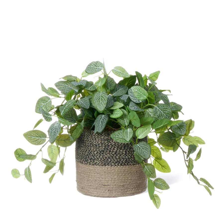 【公式】フィットニア ジュートポット H37cm 観葉植物 フェイクグリーン  | GREENPARK 人工観葉植物 造花 おしゃれ リアルの画像