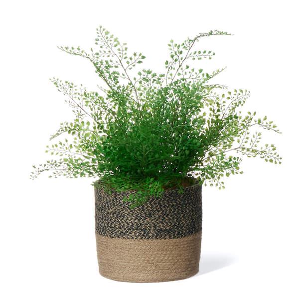 【公式】アジアンタム ジュートポット H52cm 観葉植物 フェイクグリーン  | GREENPARK 人工観葉植物 造花 おしゃれ リアルの画像