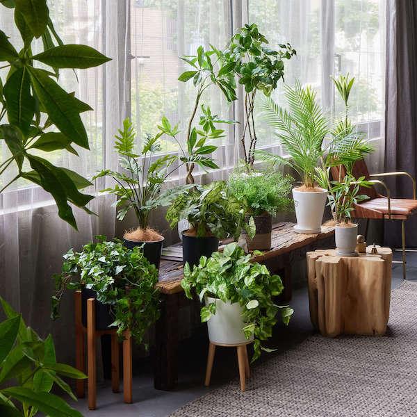 【公式】アジアンタム ジュートポット H52cm 観葉植物 フェイクグリーン  | GREENPARK 人工観葉植物 造花 おしゃれ リアルの画像