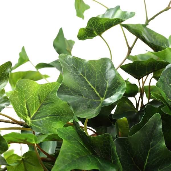 【公式】アイビー ジュートポット H42cm 観葉植物 フェイクグリーン  | GREENPARK 人工観葉植物 造花 おしゃれ リアルの画像