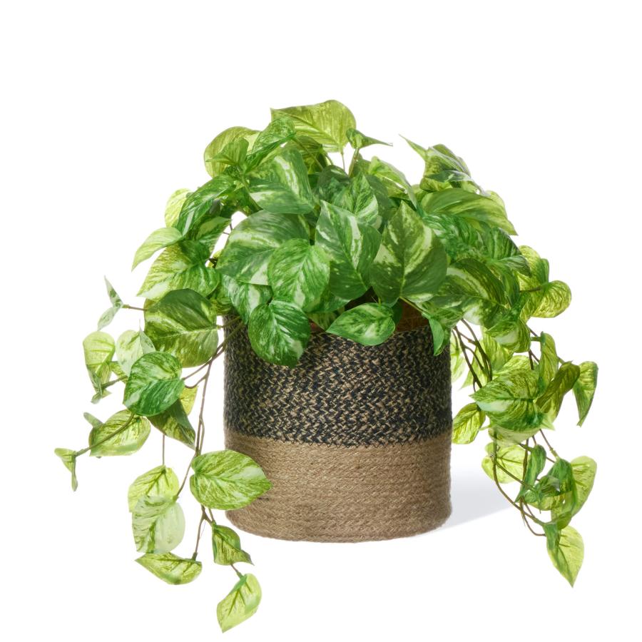 【公式】ポトス ジュートポット H37cm 観葉植物 フェイクグリーン  | GREENPARK 人工観葉植物 造花 おしゃれ リアルの画像