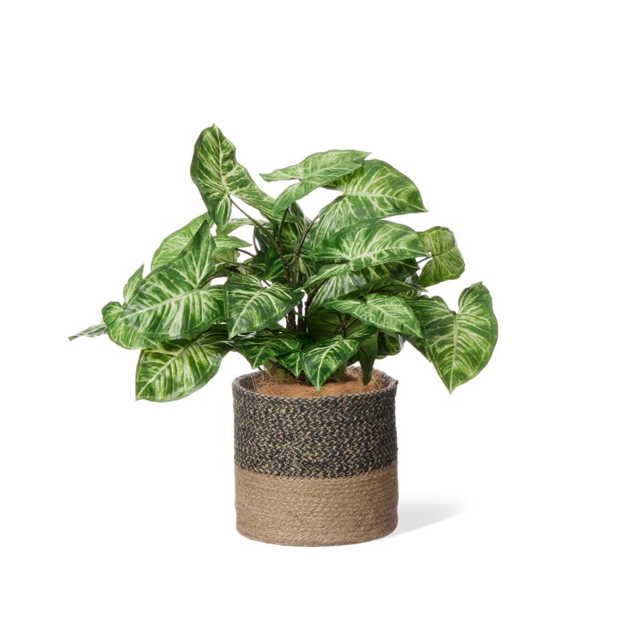 【公式】カラジウム ジュートポット H45cm 観葉植物 フェイクグリーン  | GREENPARK 人工観葉植物 造花 おしゃれ リアルの画像