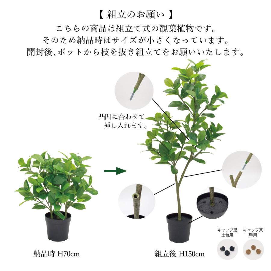 【公式】フィカスソフィア ラウンドポット H170cm 観葉植物 フェイクグリーン 【別倉庫直送品】 eco | GREENPARK 人工観葉植物 造花 おしゃれ リアル_8