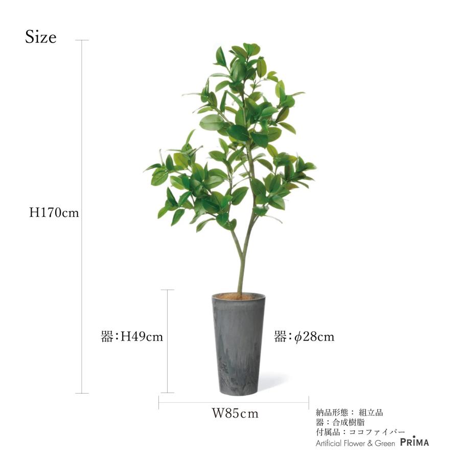 【公式】フィカスソフィア ラウンドポット H170cm 観葉植物 フェイクグリーン 【別倉庫直送品】 eco | GREENPARK 人工観葉植物 造花 おしゃれ リアル_9