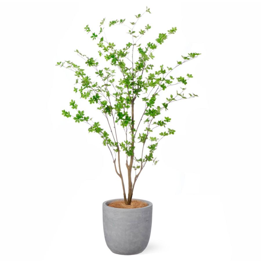 【公式】ドウダンツツジ ラウンド H190cm 観葉植物 フェイクグリーン 【別倉庫直送品】 | GREENPARK 人工観葉植物 造花 おしゃれ リアル_1