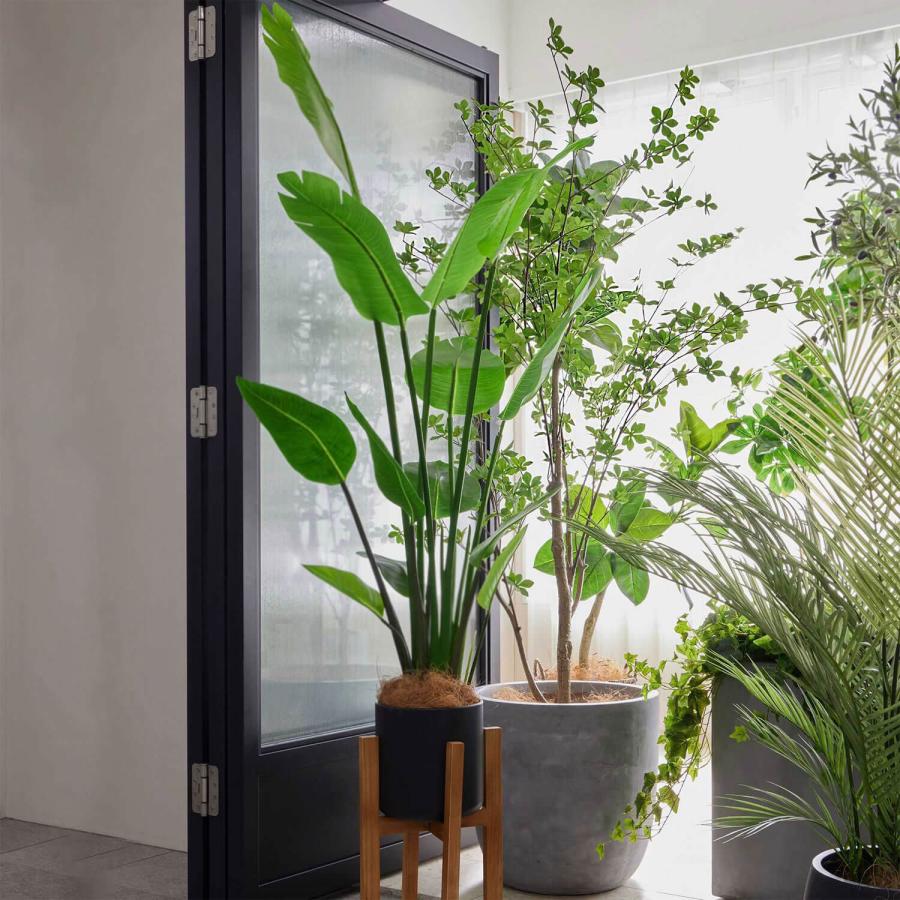 【公式】ドウダンツツジ ラウンド H190cm 観葉植物 フェイクグリーン 【別倉庫直送品】 | GREENPARK 人工観葉植物 造花 おしゃれ リアル_5