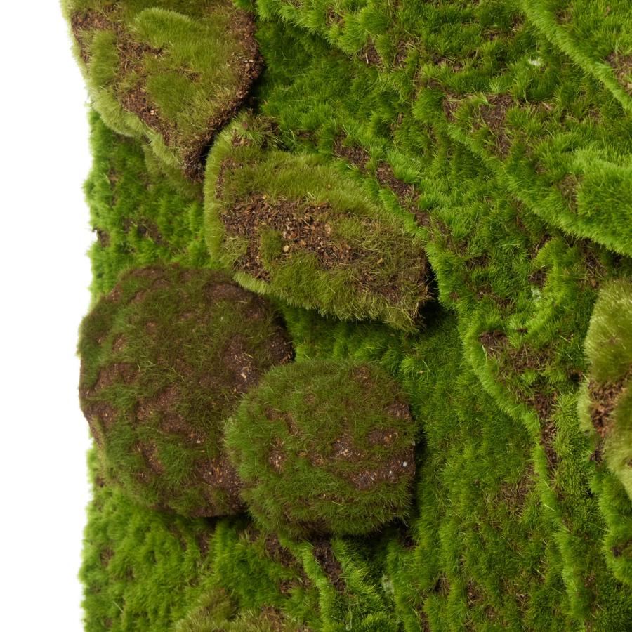 【公式】苔パネル 粋 45cm角 CUPBON 盆栽 フェイクグリーン | PRIMA 観葉植物 リアル グリーン 壁面 壁の画像