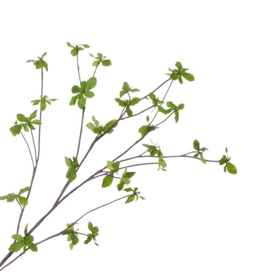 【公式】ドウダンツツジ Water H58cm 観葉植物 フェイクグリーン【当日出荷】 | GREENPARK 観葉植物 観葉 植物 人工植物 おしゃれ ドウダン 枝_3