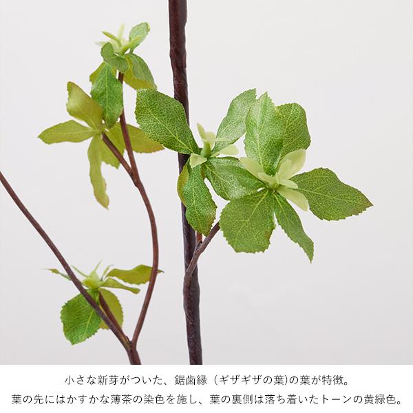 【公式】ドウダンツツジ Water H58cm 観葉植物 フェイクグリーン【当日出荷】 | GREENPARK 観葉植物 観葉 植物 人工植物 おしゃれ ドウダン 枝_8