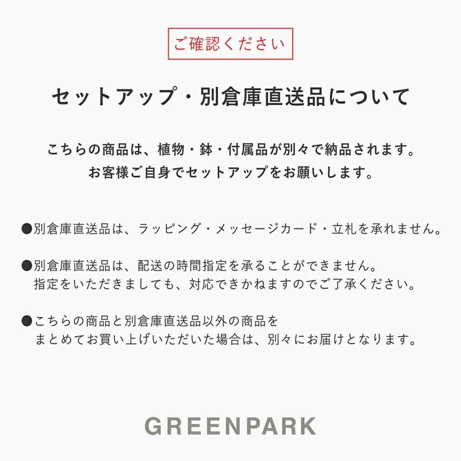 【公式】アレカヤシ ウッドプランター H175cm 観葉植物 フェイクグリーン 【別倉庫直送品】 | GREENPARK 人工観葉植物 造花 おしゃれ リアル_12