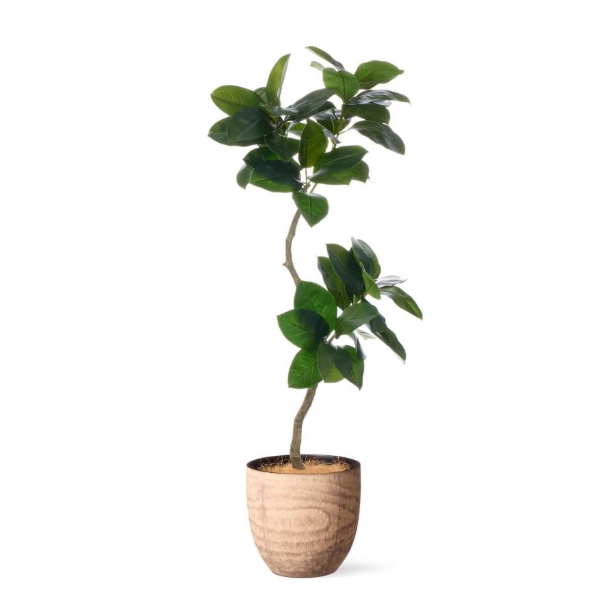【公式】ゴムリーフ ウッドポット H155cm 観葉植物 フェイクグリーン 【別倉庫直送品】 | GREENPARK 人工観葉植物 造花 おしゃれ リアル
