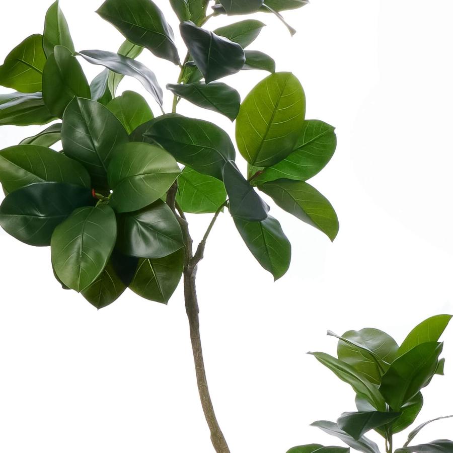 【公式】ゴムリーフ ウッドポット H155cm 観葉植物 フェイクグリーン 【別倉庫直送品】 | GREENPARK 人工観葉植物 造花 おしゃれ リアル
