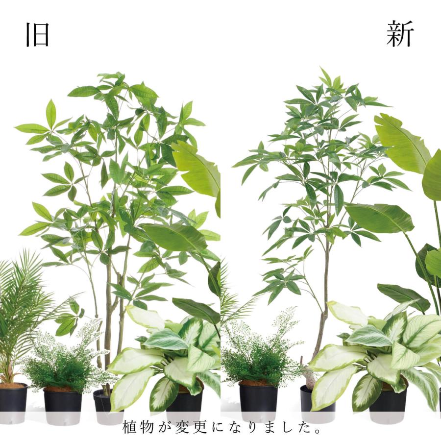 公式】ミックスN インナーポット 6個セット 観葉植物 フェイクグリーン