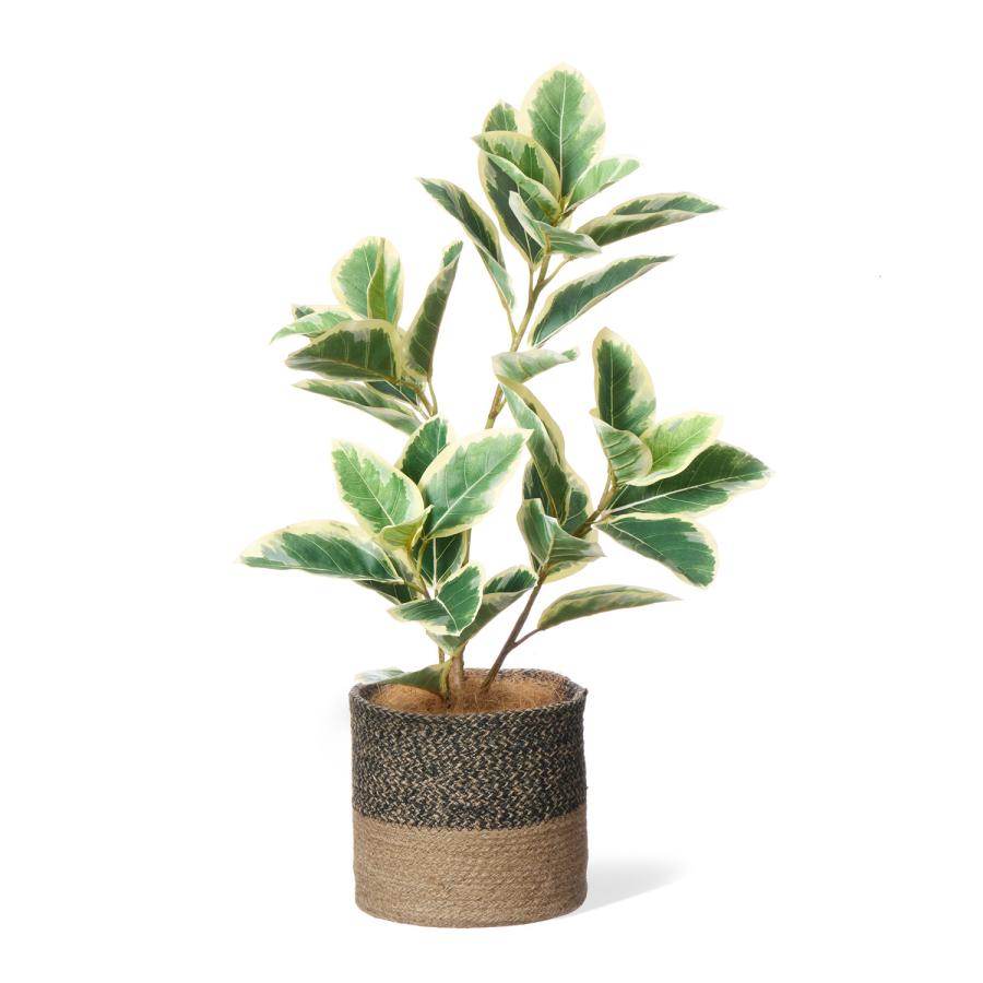 【公式】フィカス ジュートポット H65cm 観葉植物 フェイクグリーン | GREENPARK 人工観葉植物 造花 おしゃれ リアルの画像