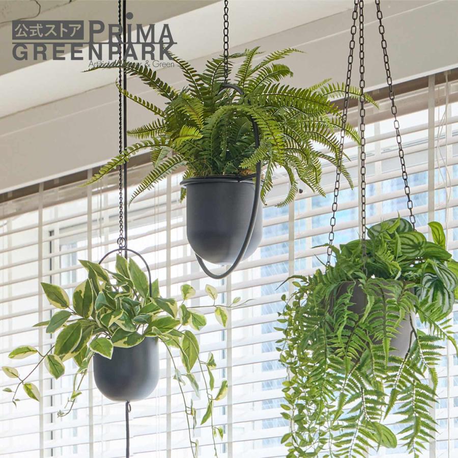 シダ植物 ハンギングプランター付き ○空気浄化植物○エコ・プラント ”シダ ネフロレピス・ツデー スチール