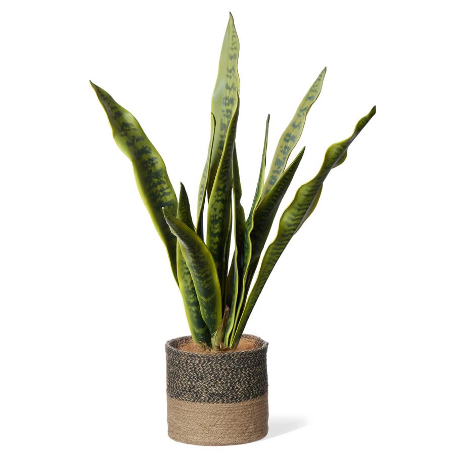 【公式】サンセベリア ジュートポット H80cm 観葉植物 フェイクグリーン | GREENPARK 人工観葉植物 造花 おしゃれ リアルの画像