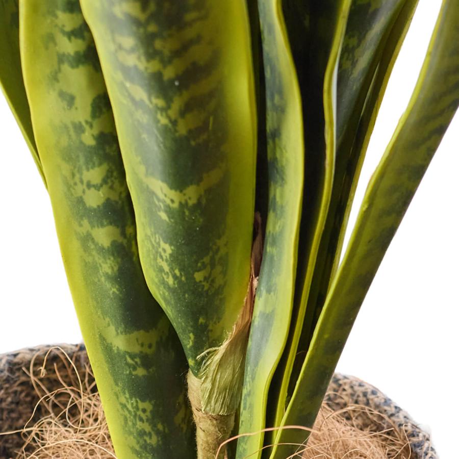 【公式】サンセベリア ジュートポット H80cm 観葉植物 フェイクグリーン | GREENPARK 人工観葉植物 造花 おしゃれ リアルの画像