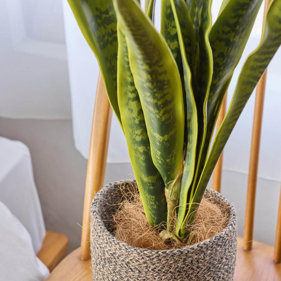 【公式】サンセベリア ジュートポット H80cm 観葉植物 フェイクグリーン | GREENPARK 人工観葉植物 造花 おしゃれ リアルの画像