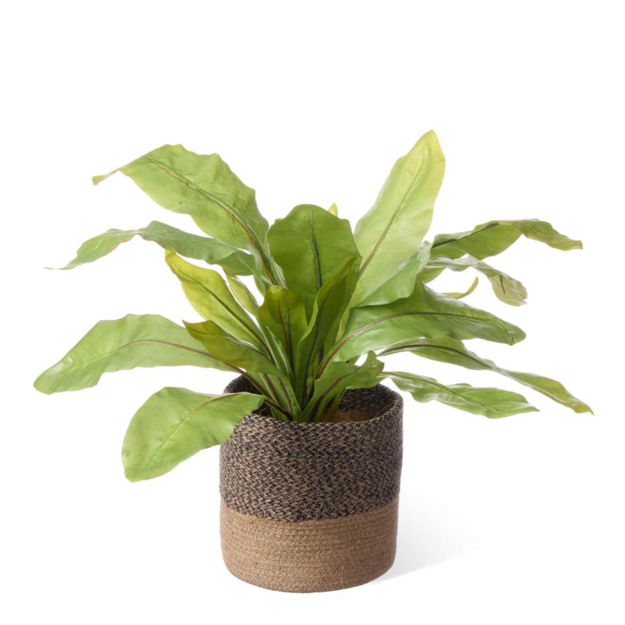 【公式】オオタニワタリ ジュートポット H42cm 観葉植物 フェイクグリーン | GREENPARK 人工観葉植物 造花 おしゃれ リアルの画像