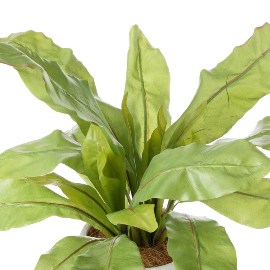 【公式】オオタニワタリ ジュートポット H42cm 観葉植物 フェイクグリーン | GREENPARK 人工観葉植物 造花 おしゃれ リアルの画像