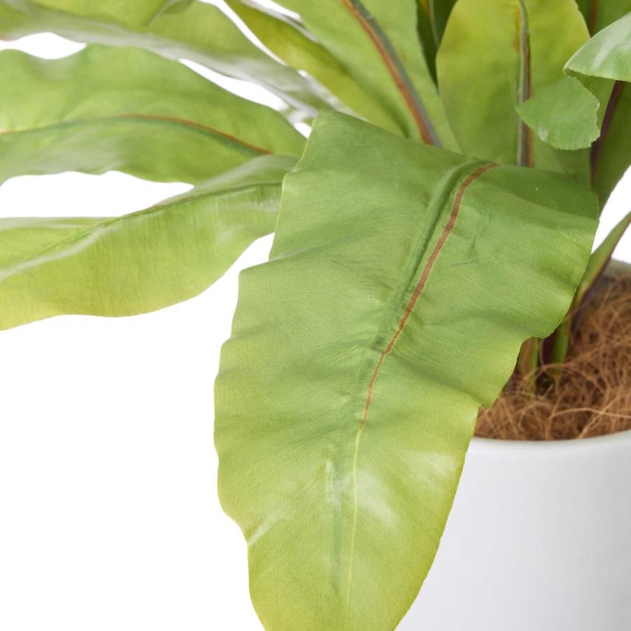 【公式】オオタニワタリ ジュートポット H42cm 観葉植物 フェイクグリーン | GREENPARK 人工観葉植物 造花 おしゃれ リアルの画像