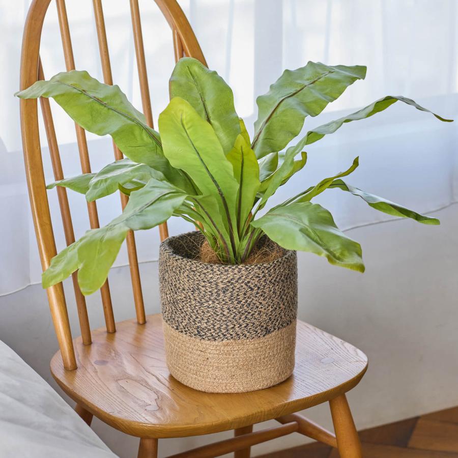【公式】オオタニワタリ ジュートポット H42cm 観葉植物 フェイクグリーン | GREENPARK 人工観葉植物 造花 おしゃれ リアルの画像
