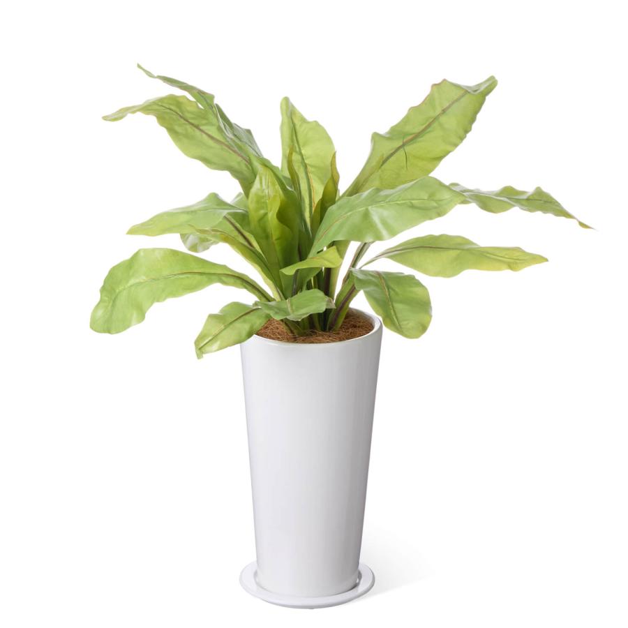 【公式】オオタニワタリ スリムプランター H70cm 観葉植物 フェイクグリーン  | GREENPARK 人工観葉植物 造花 おしゃれ リアルの画像