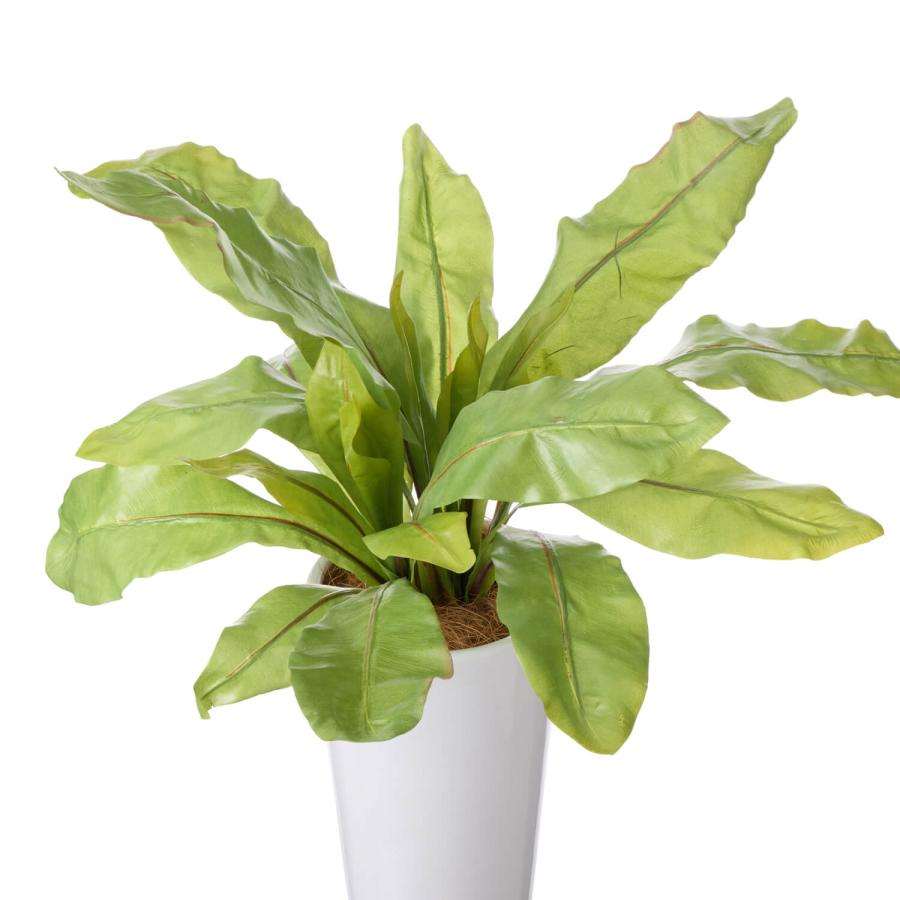 【公式】オオタニワタリ スリムプランター H70cm 観葉植物 フェイクグリーン  | GREENPARK 人工観葉植物 造花 おしゃれ リアルの画像
