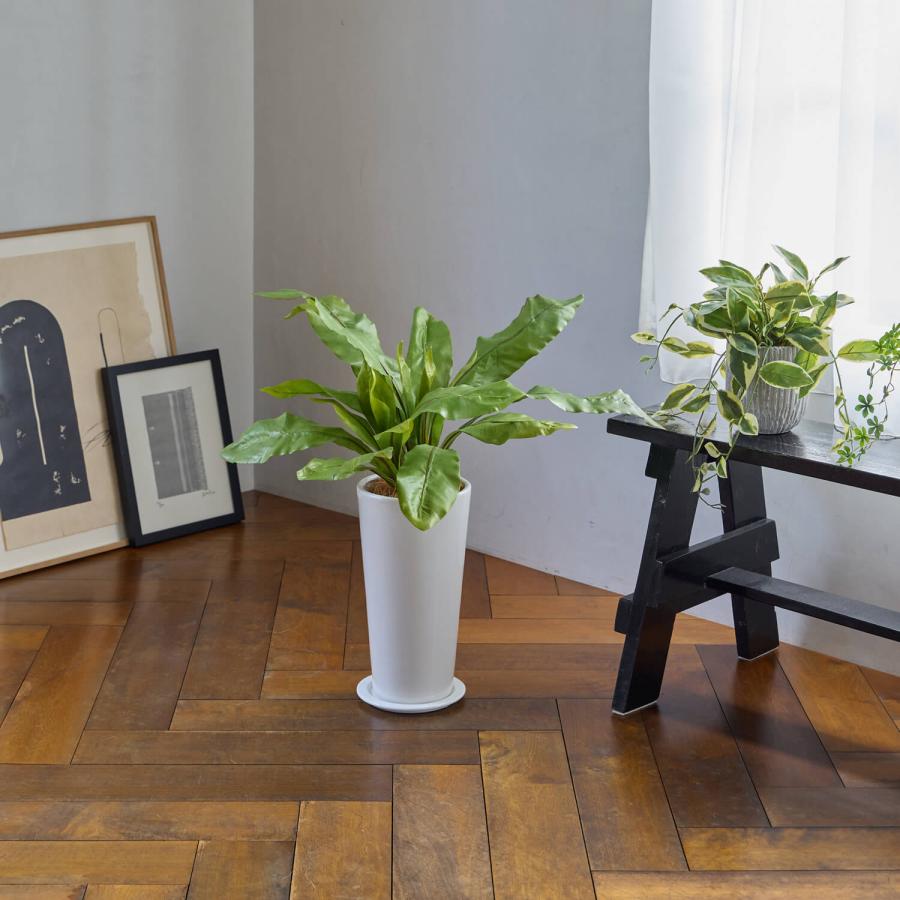 【公式】オオタニワタリ スリムプランター H70cm 観葉植物 フェイクグリーン  | GREENPARK 人工観葉植物 造花 おしゃれ リアルの画像