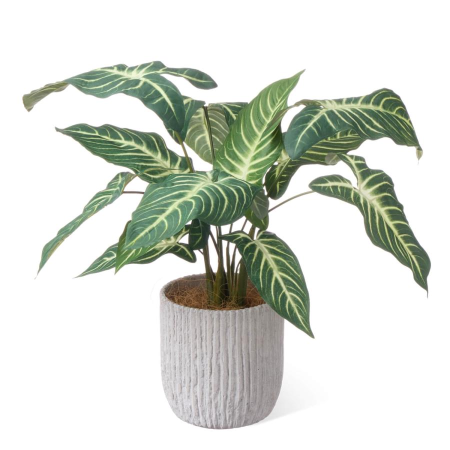 【公式】キサントソーマ オベリスポットH47cm 観葉植物 フェイクグリーン | GREENPARK 人工観葉植物 造花 おしゃれ リアルの画像
