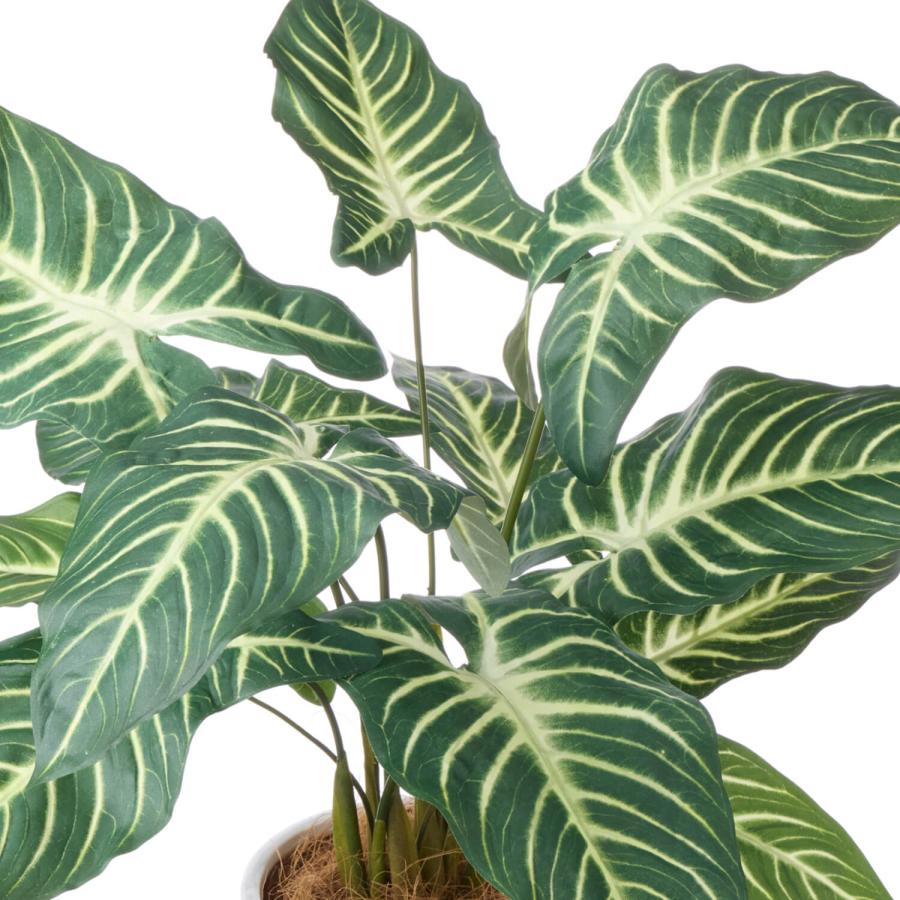 【公式】キサントソーマ オベリスポットH47cm 観葉植物 フェイクグリーン | GREENPARK 人工観葉植物 造花 おしゃれ リアルの画像