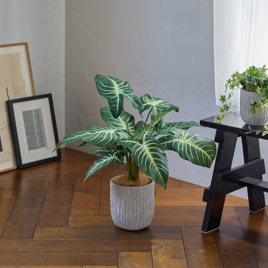 【公式】キサントソーマ オベリスポットH47cm 観葉植物 フェイクグリーン | GREENPARK 人工観葉植物 造花 おしゃれ リアルの画像
