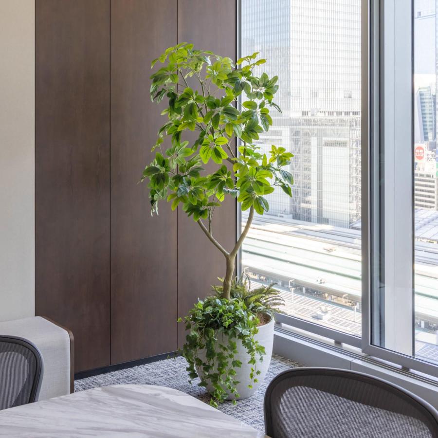 公式】シェフレラ ボウル 下草付 H190cm 観葉植物 フェイクグリーン